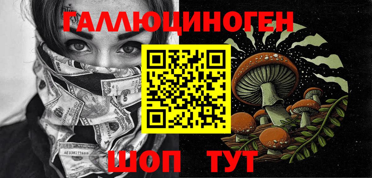 Галлюциногенные грибы Psilocybe  Вход с VPN  Новоалтайск 