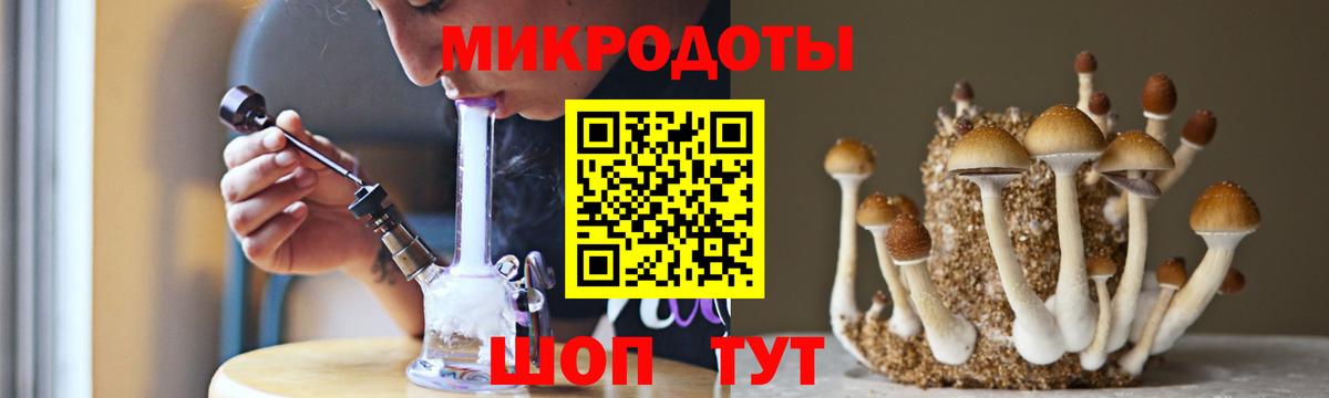 Галлюциногенные грибы Psilocybine cubensis Новоалтайск